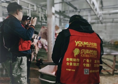 &#24320;&#20113;&#25163;&#26426;&#31449;&#30331;&#24405;&#20837;&#21475;&#45;&#24320;&#20113;&#111;&#110;&#108;&#105;&#110;&#101;&#40;&#20013;&#22269;&#41;